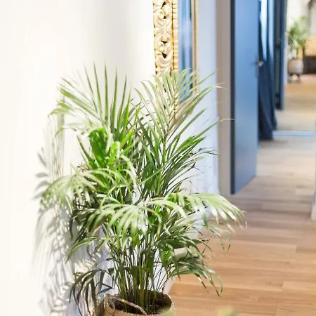 Apartment Sweet Centre Historique 65 M2